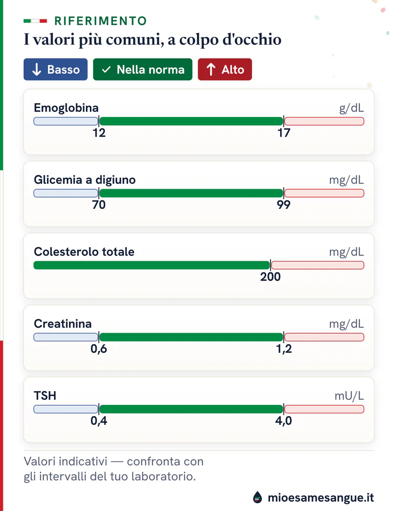 Cinque barre con la zona verde dei valori indicativi: emoglobina 12–17 g/dL, glicemia 70–99, colesterolo, creatinina, TSH