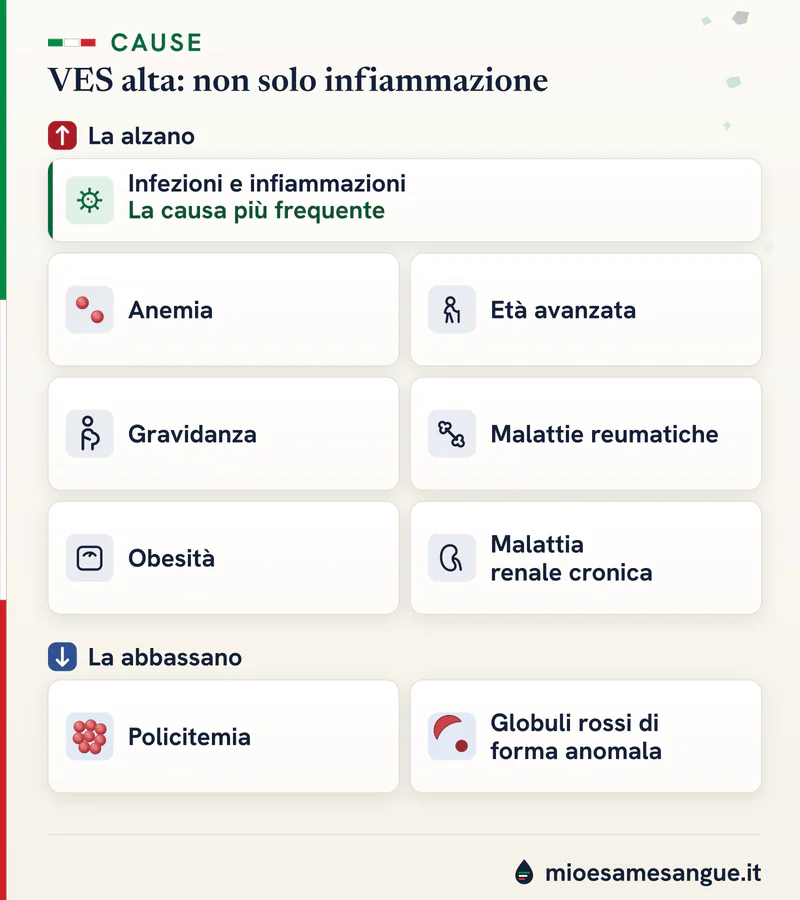 Schede delle cause che alzano la VES, come infezioni, anemia e gravidanza, e dei fattori che la abbassano come la policitemia