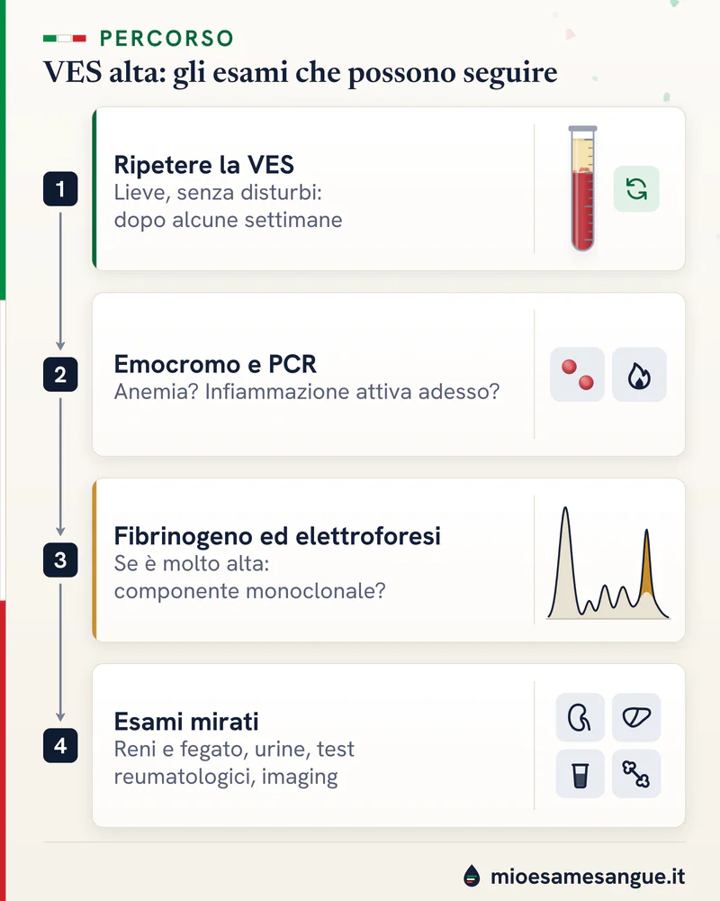 Quattro tappe dopo una VES alta: provetta da ripetere, emocromo e PCR, elettroforesi con picco monoclonale ed esami mirati