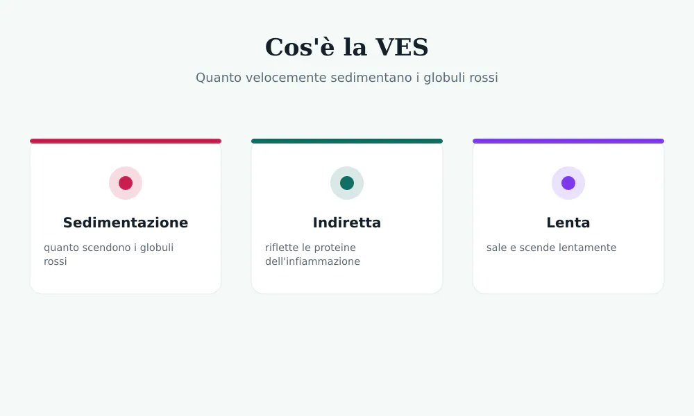 Schema della VES: i globuli rossi sedimentano in una pipetta, più veloci se c'è infiammazione