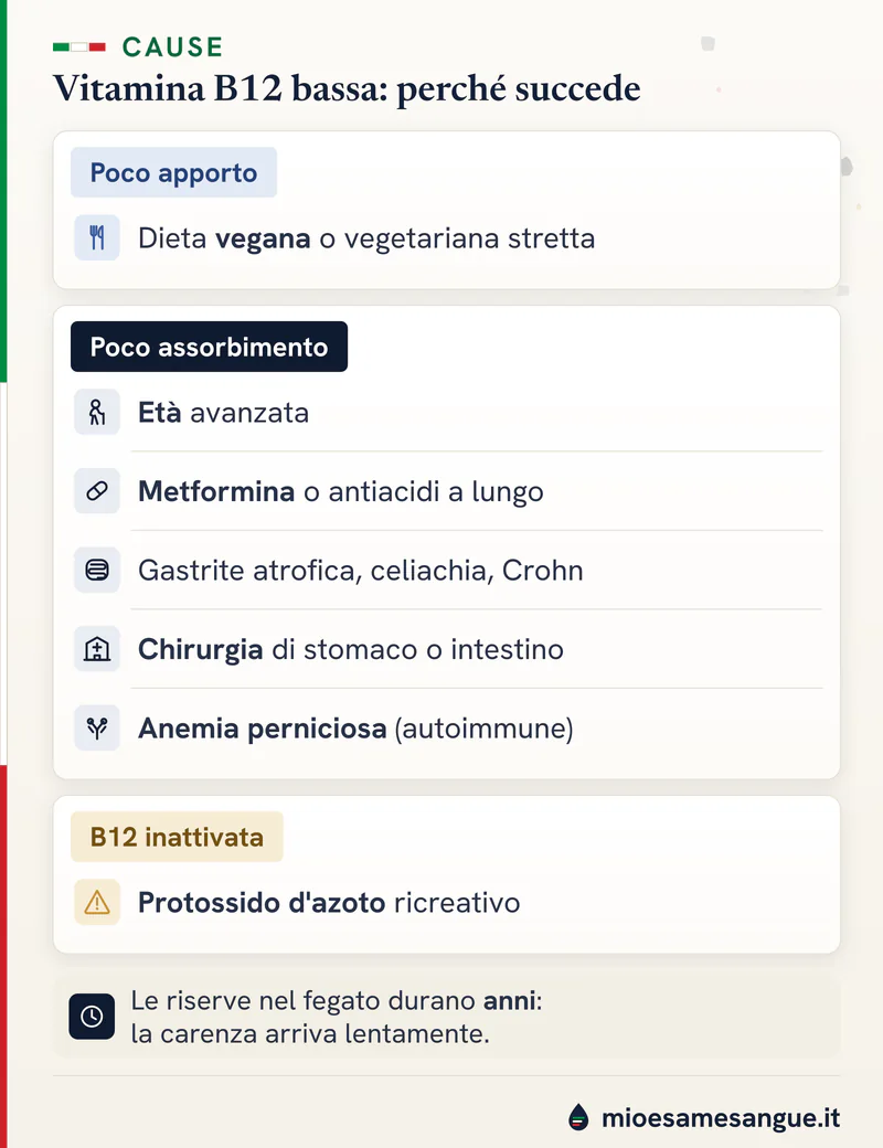 Cause della vitamina B12 bassa in tre gruppi: dieta vegana, assorbimento ridotto (età, farmaci, malattie), protossido d'azoto