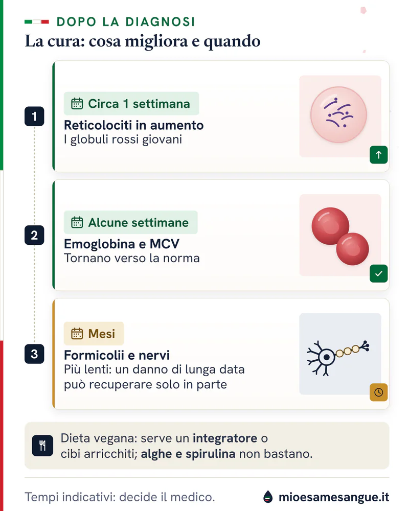 Linea del tempo della cura con vitamina B12: reticolociti in una settimana, emoglobina e MCV in settimane, formicolii in mesi