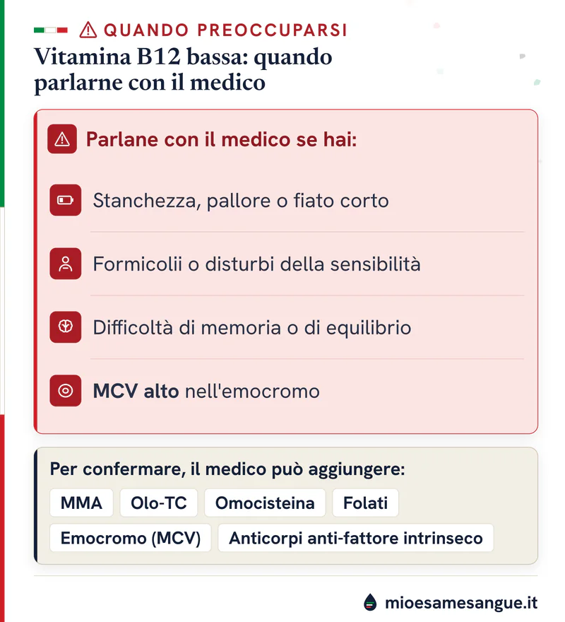 Riquadro rosso con i disturbi da carenza di vitamina B12 da segnalare e gli esami di conferma, da MMA e olo-TC ai folati