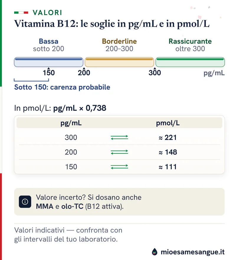 Barra della vitamina B12: bassa sotto 200, borderline 200–300, rassicurante oltre 300 pg/mL, con le soglie in pmol/L