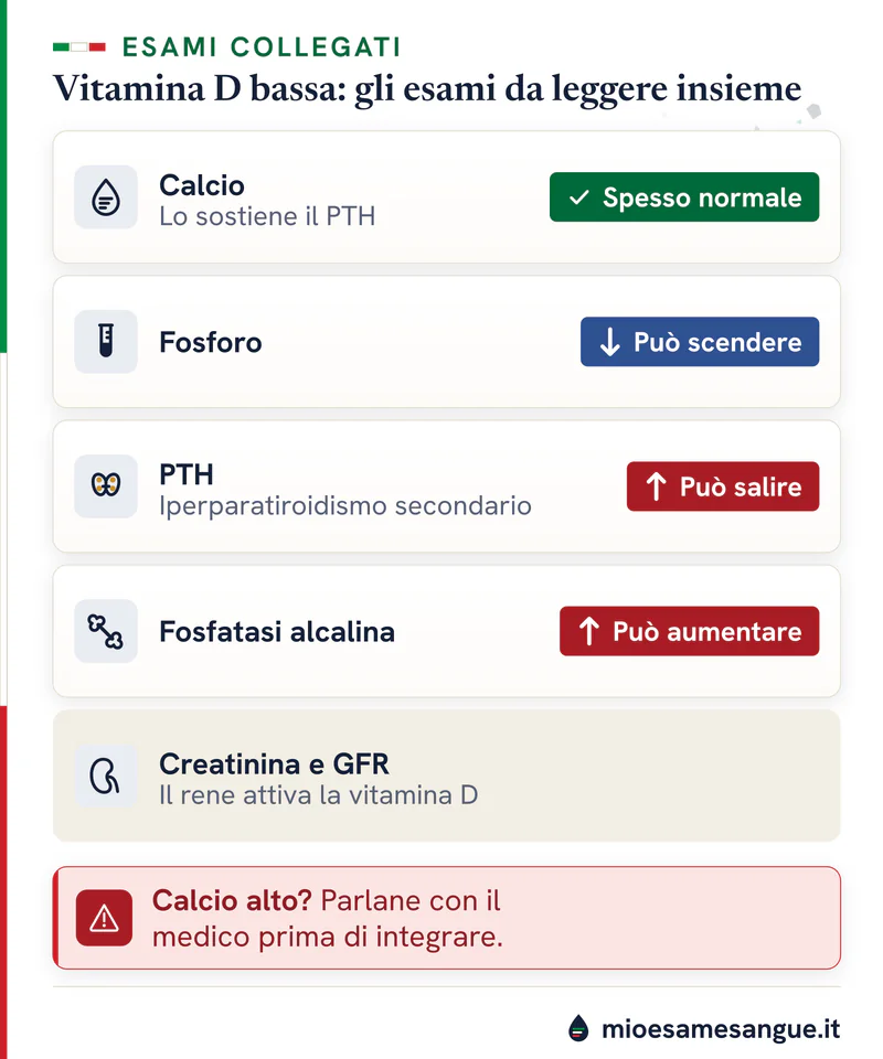 Cinque esami da leggere con la vitamina D bassa, dal calcio spesso normale al PTH in salita, e un avviso sul calcio alto